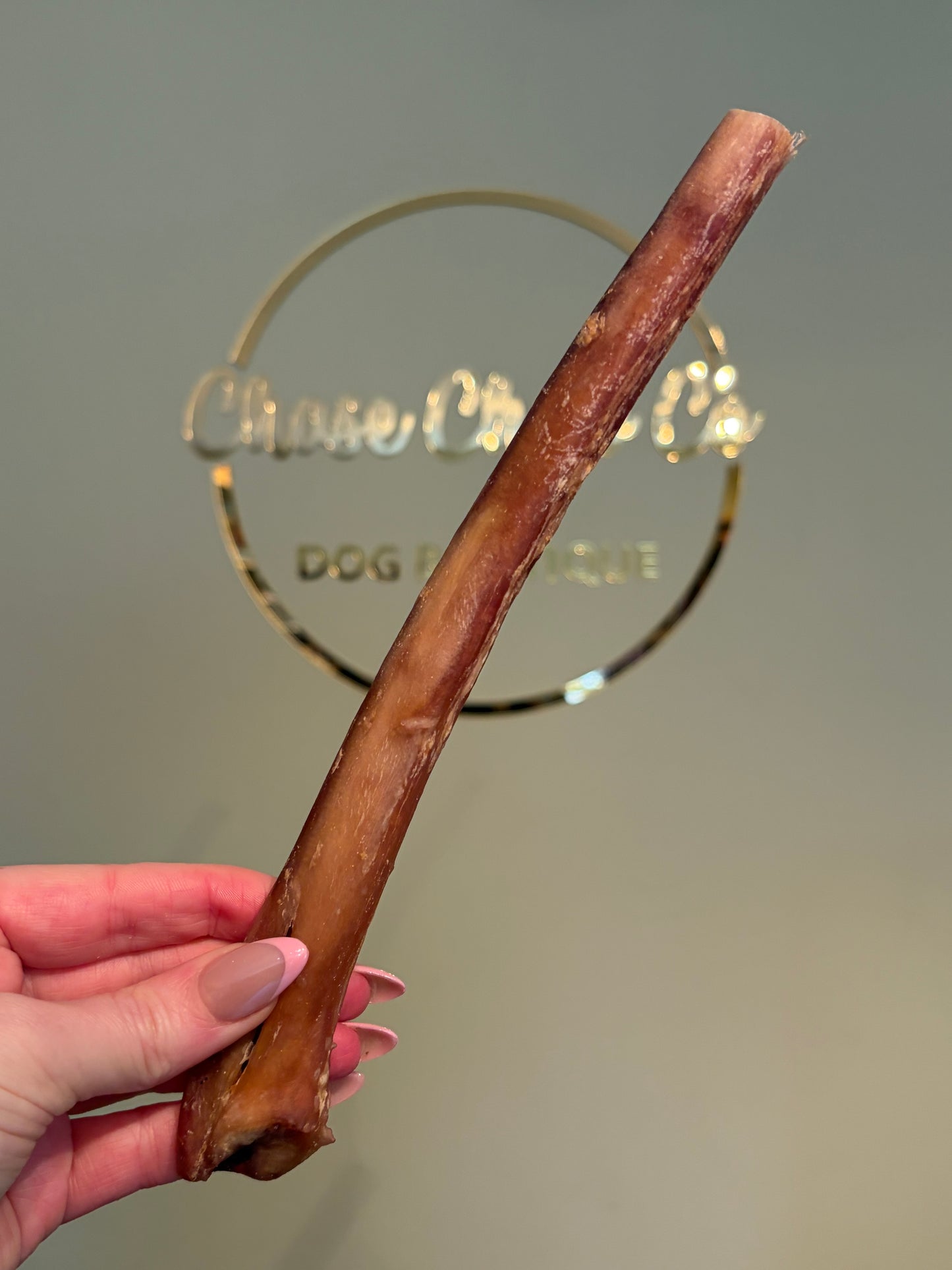XL Beef Pizzle (20cm)
