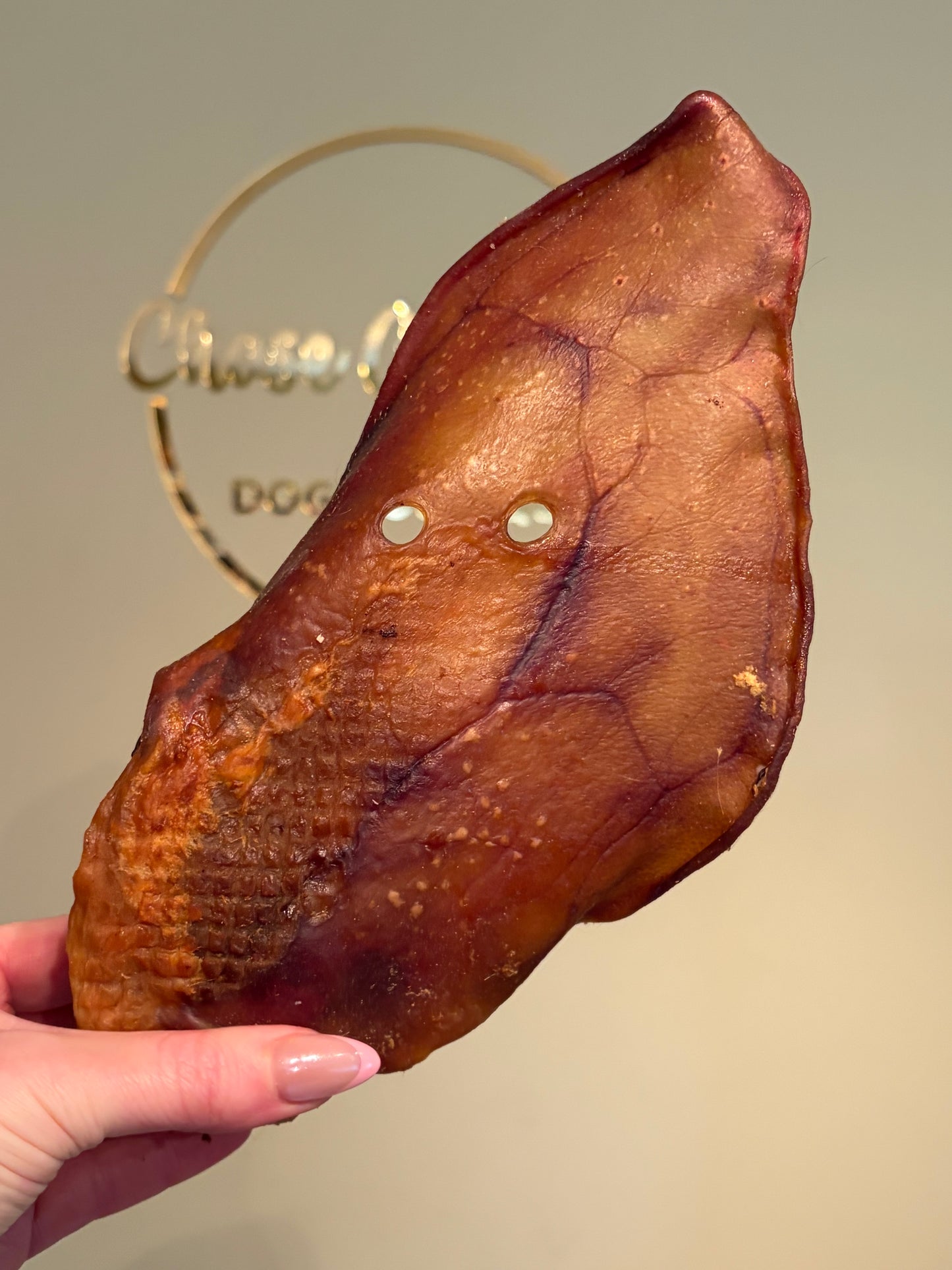 Sow Ear (XL)