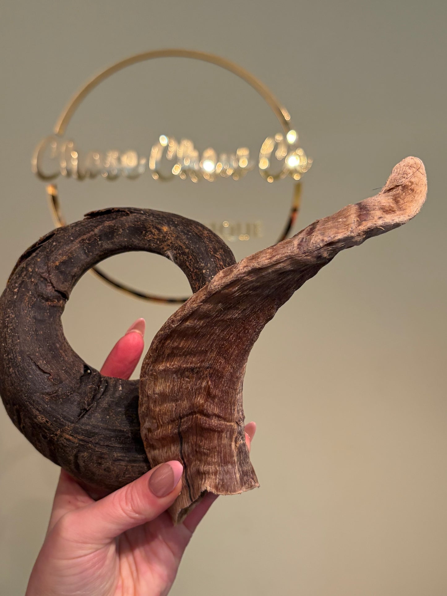 Lamb Horn