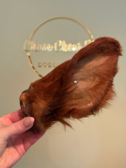 Cow Ear (Furry)