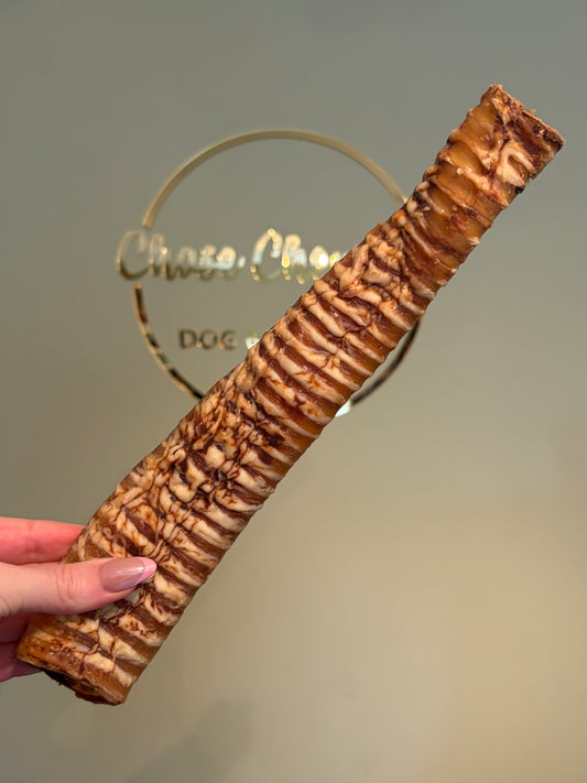 Buffalo Trachea (20cm)