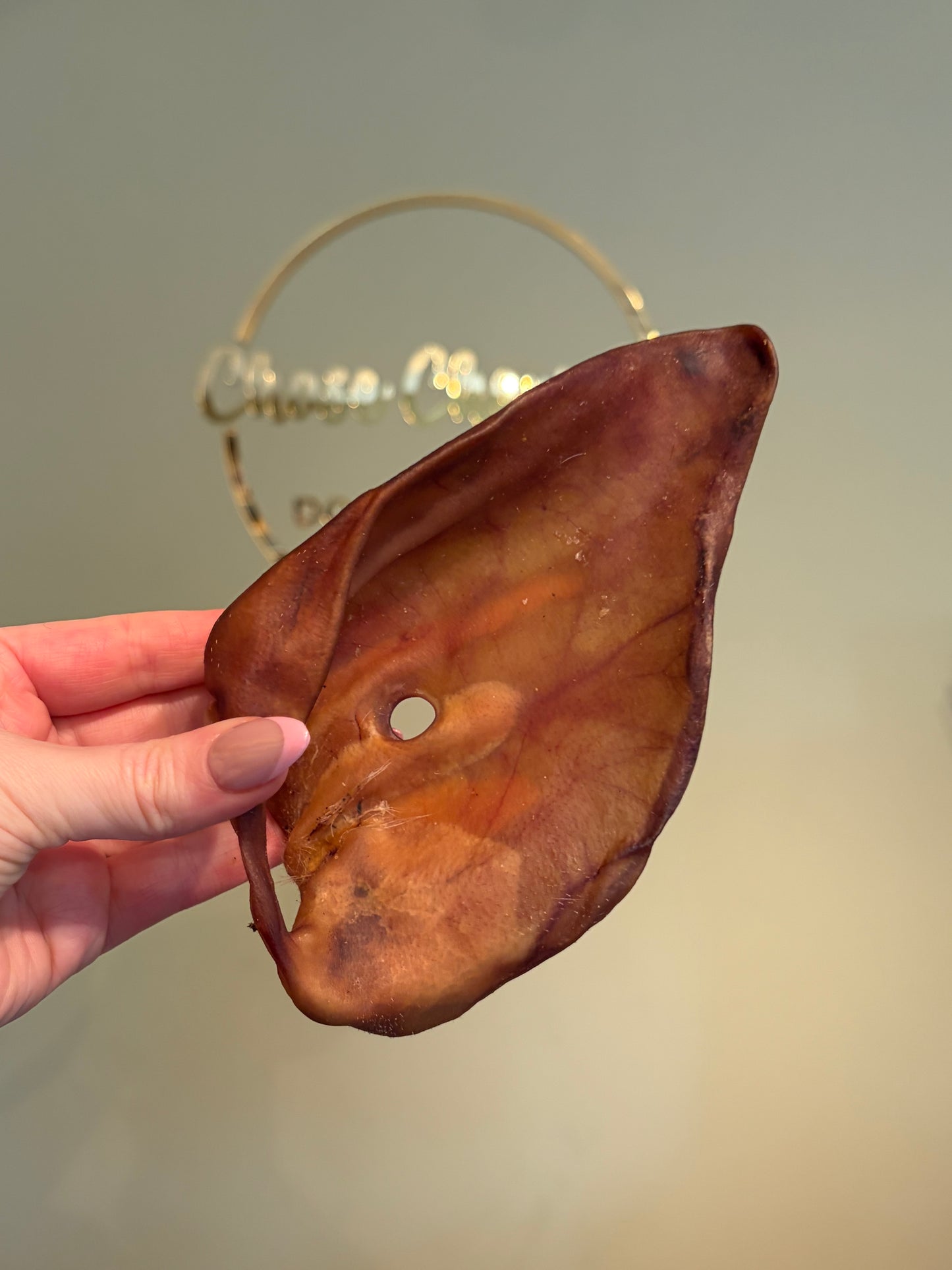 Pigs Ear
