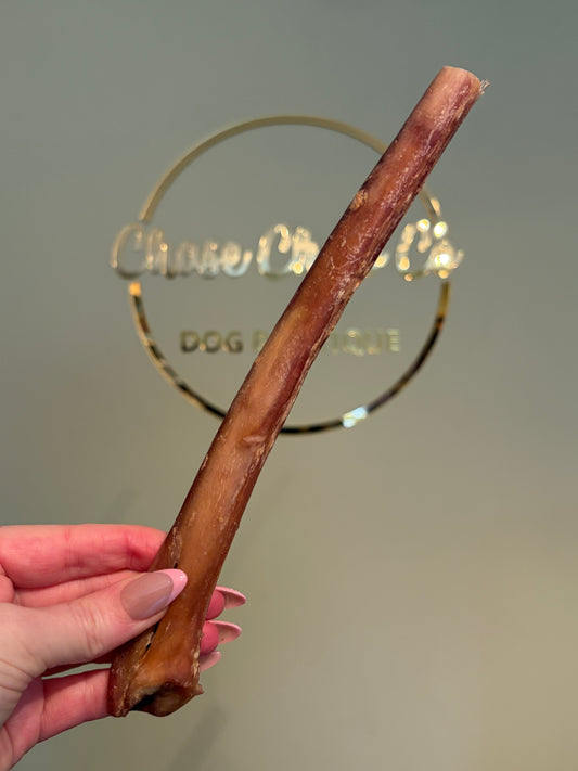 XL Beef Pizzle (20cm)