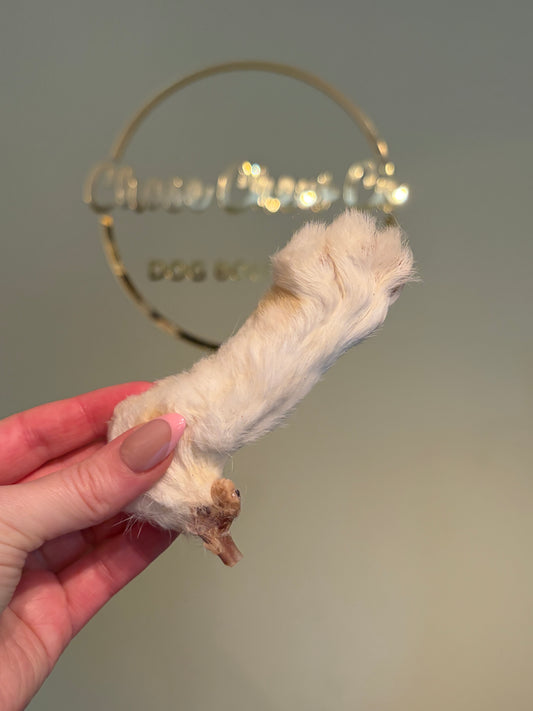 Rabbit Foot (Furry) (Pack of 2)