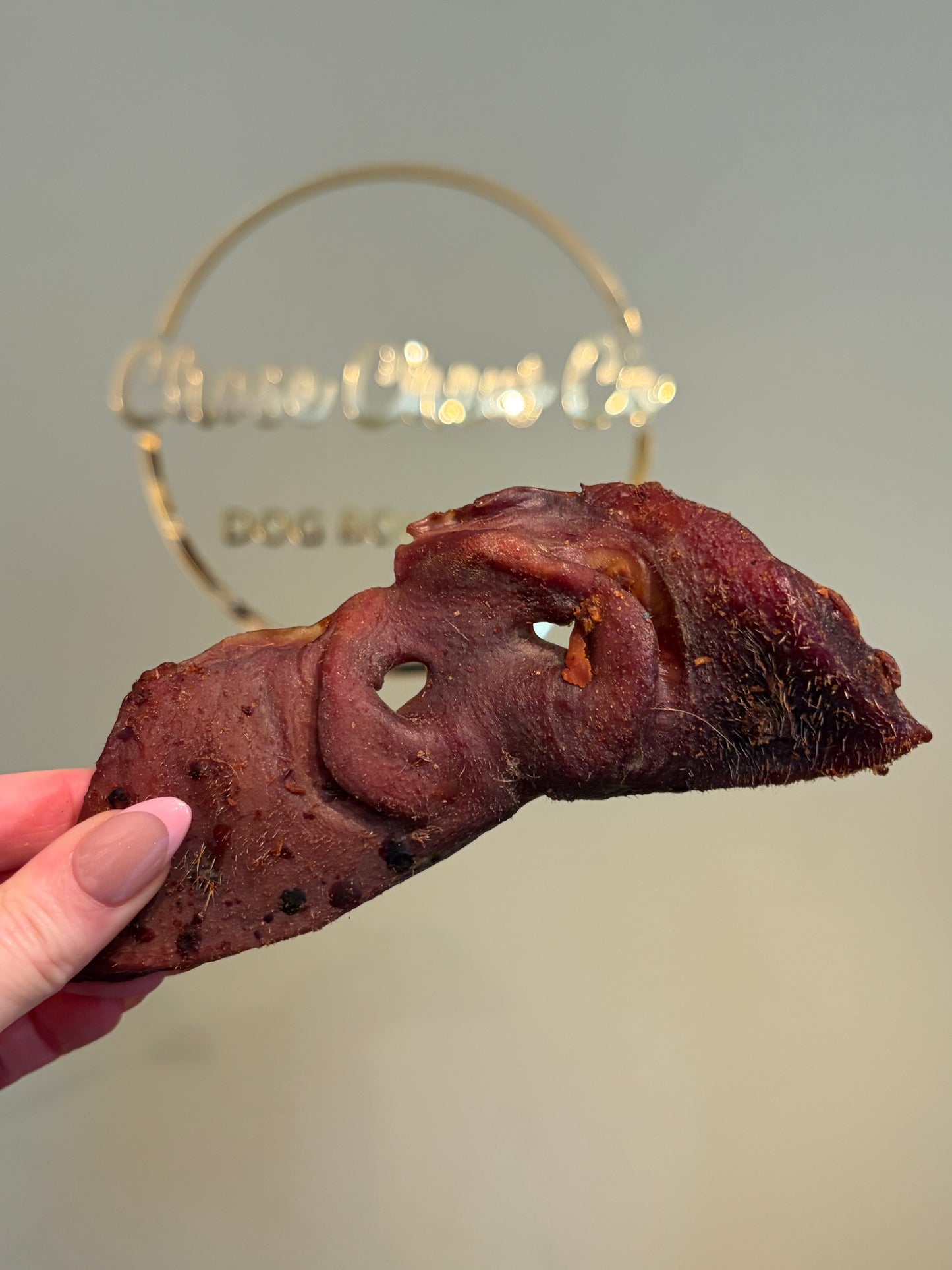 Pig Snout