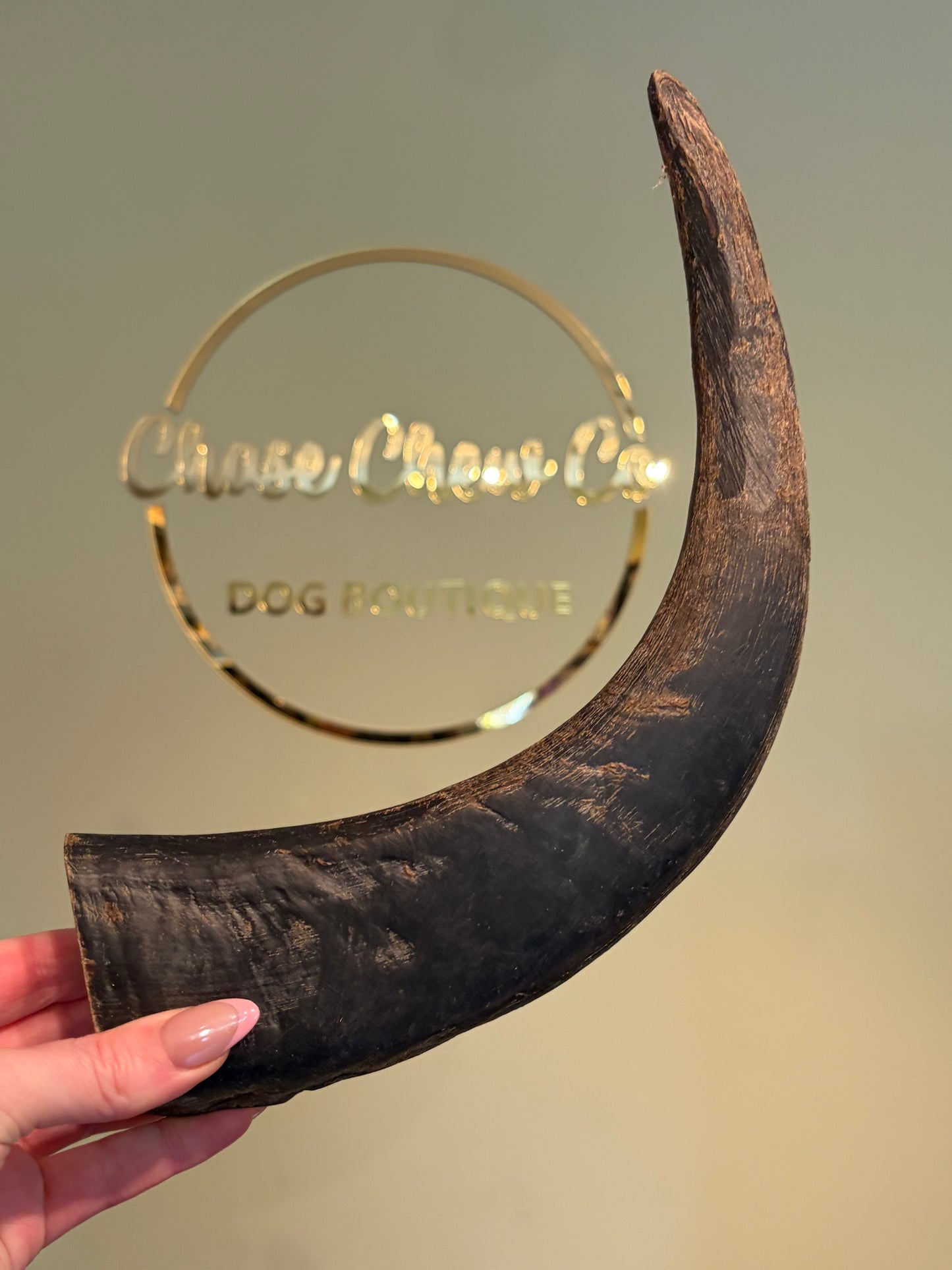 Buffalo Horn Chew (Small/Medium/Large)