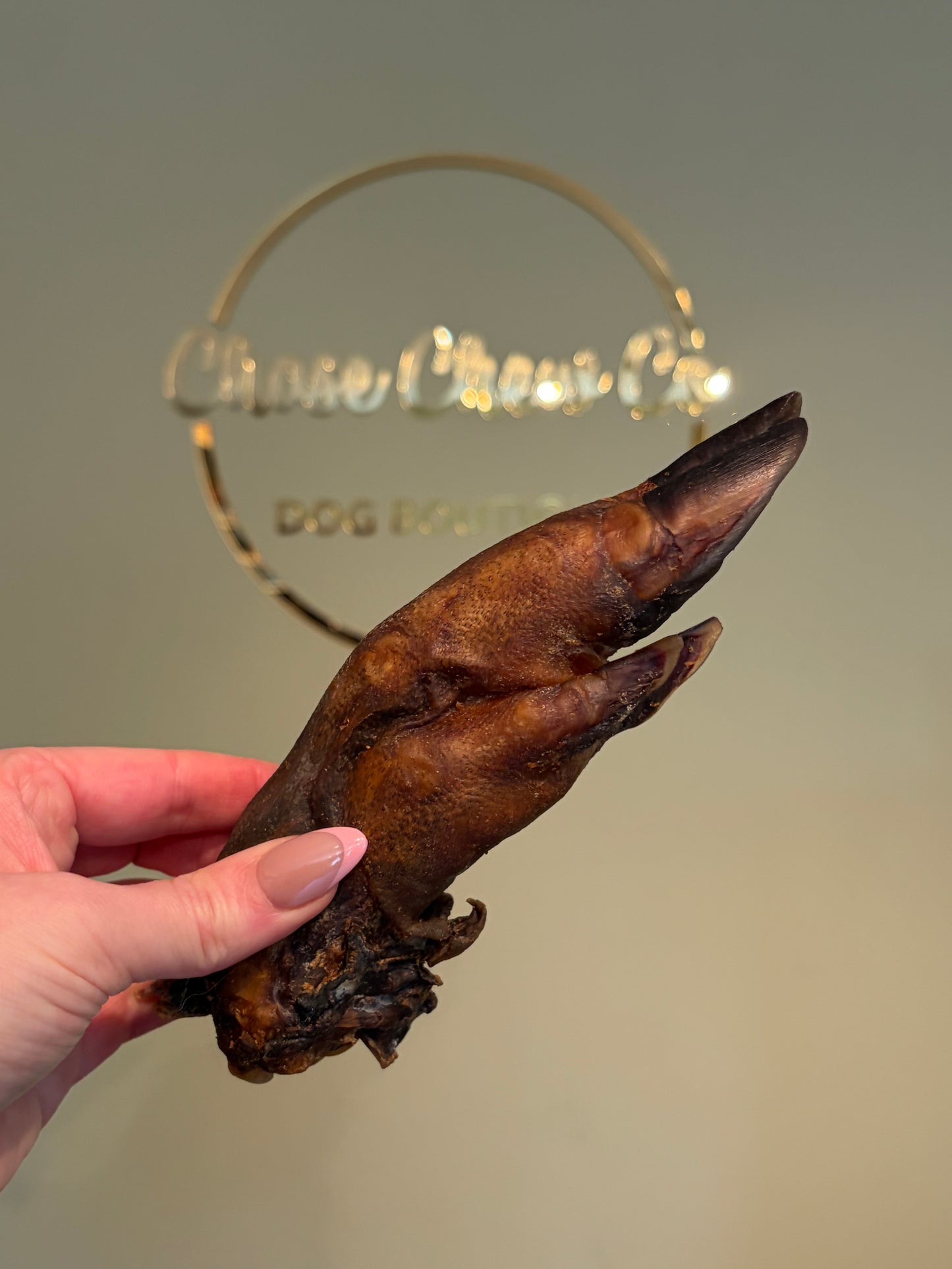 Boar Trotter