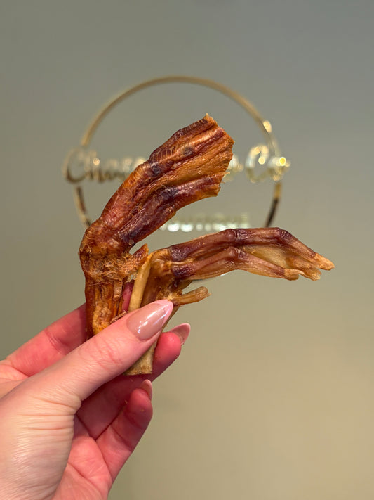Duck Feet (Pack of 2)