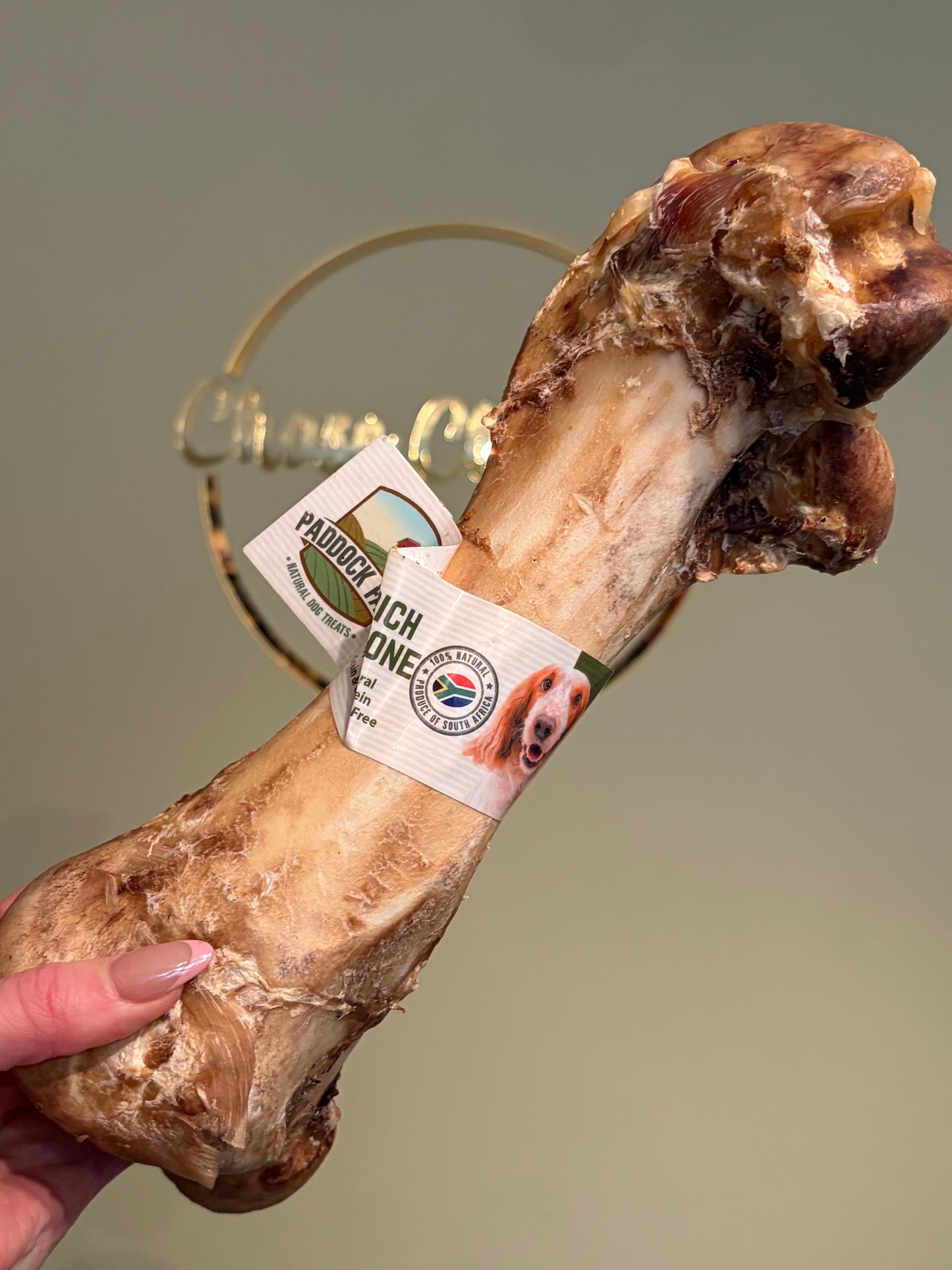 Paddock Farm Ostrich Dino Bone