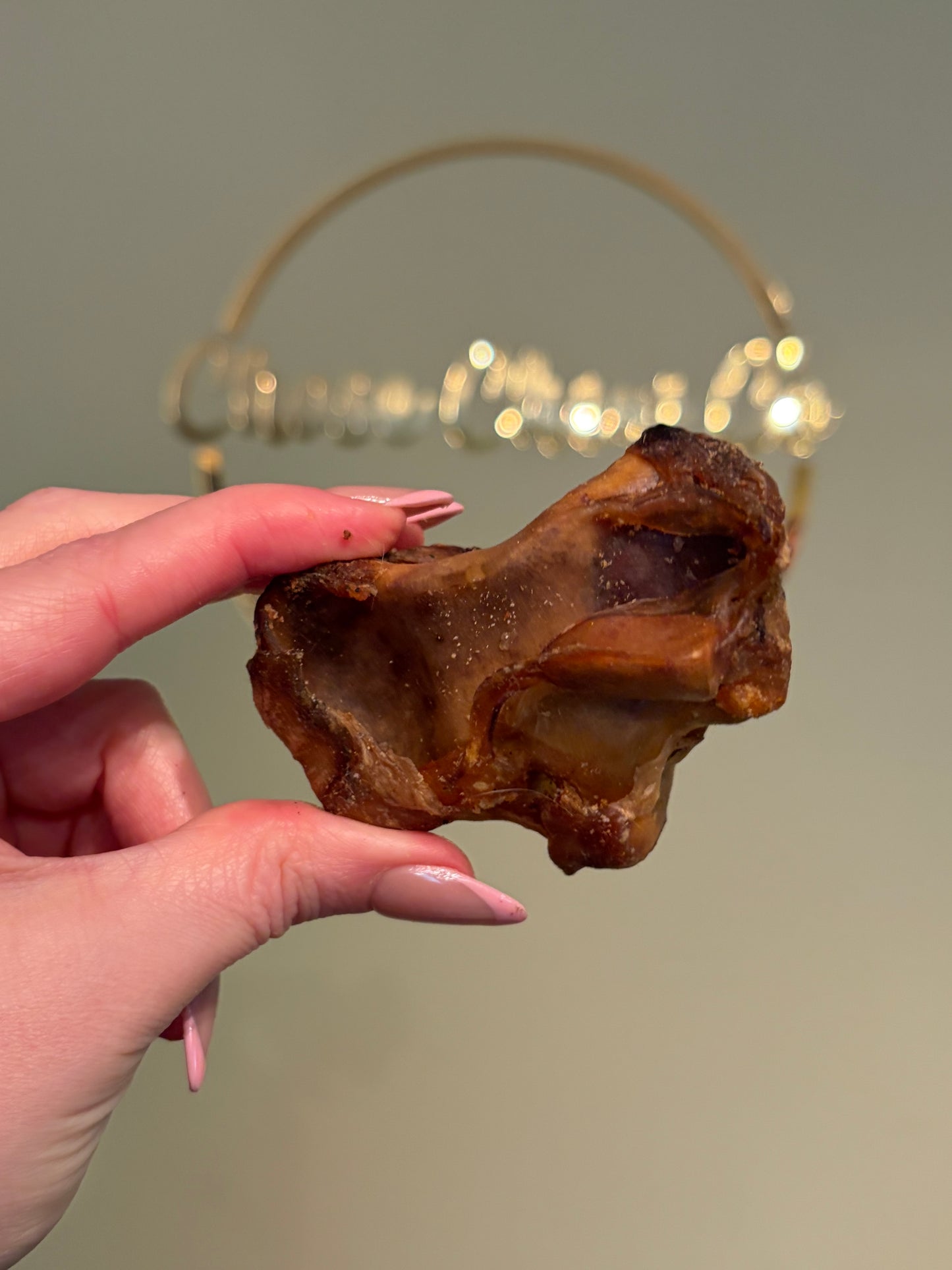 Small Ostrich Knuckle