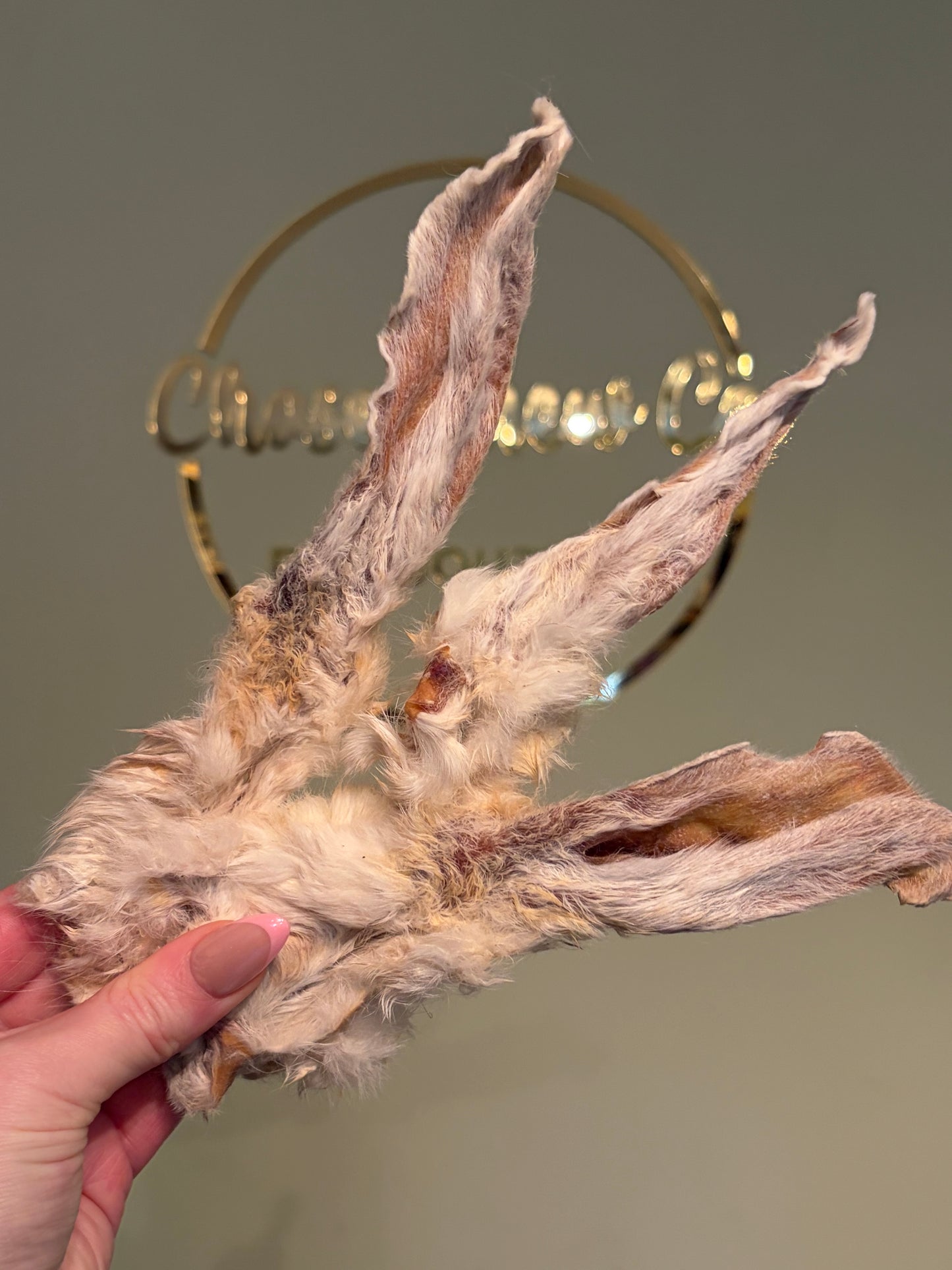 Furry Rabbit Ears (100g)