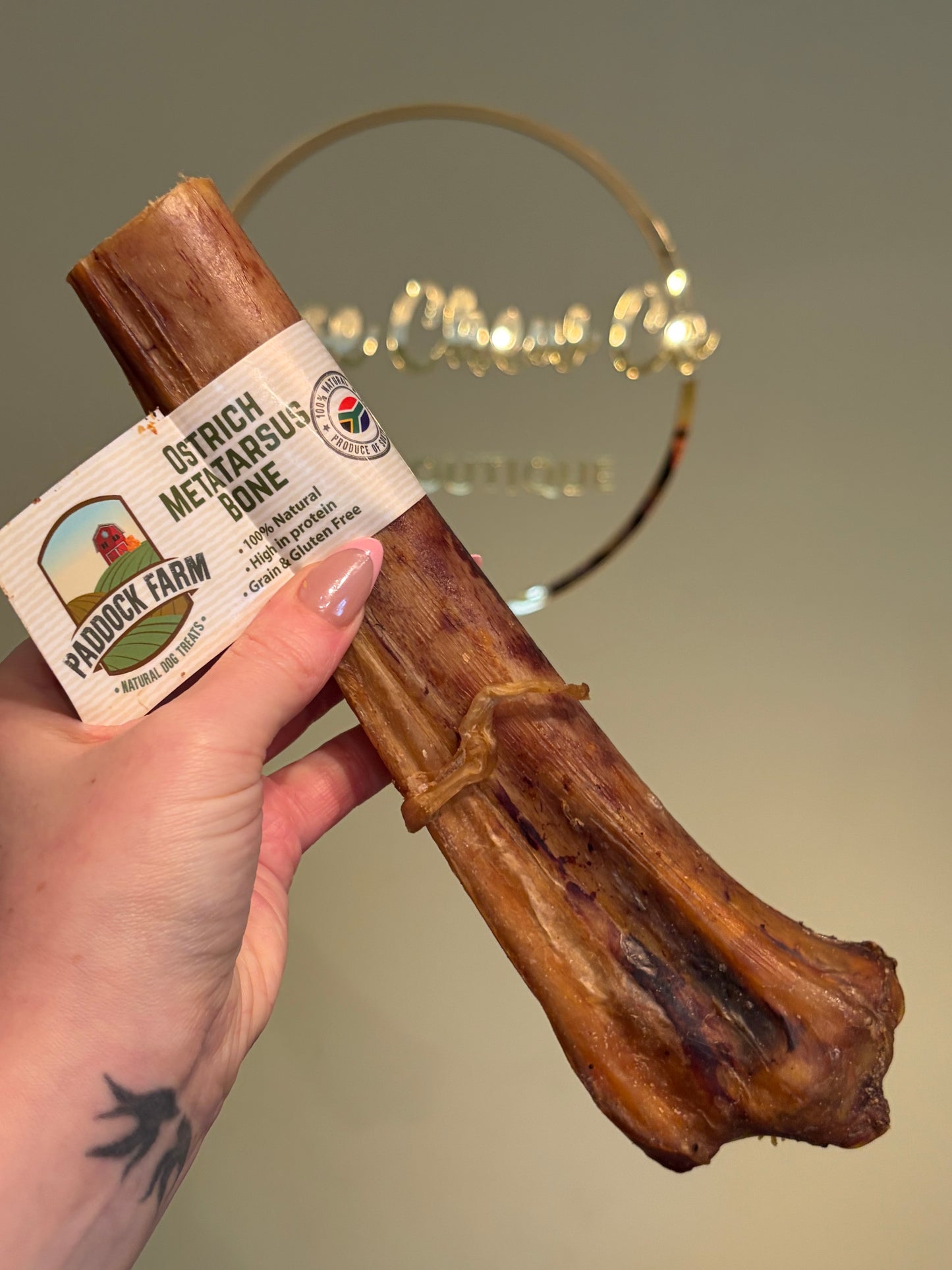 Nova Paddock Farm Ostrich Metatarsus Bone