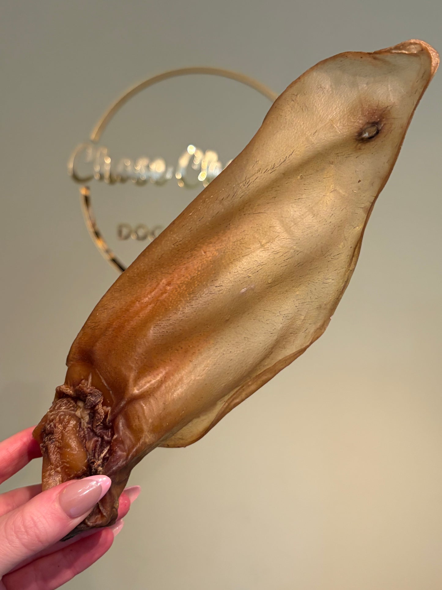 Buffalo Ear (With Meat & No Fur)